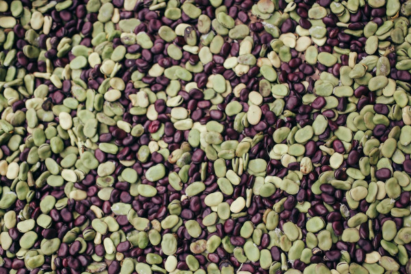 12 продуктов, которые могут вас убить (а вы и не подозревали) :: NEWSEUM